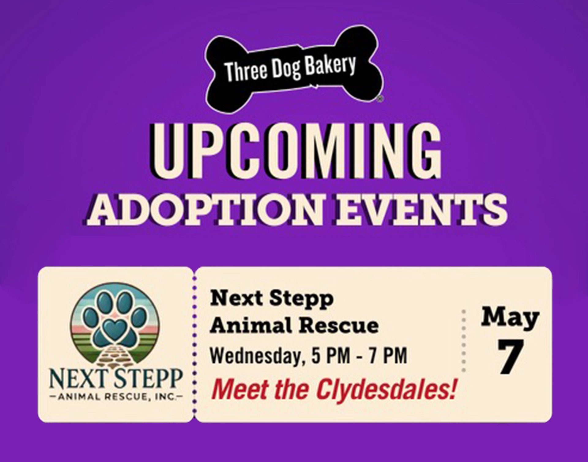 columbus-ga-three-dog-bakery-adoption-event-next-stepp-animal-rescue-may-7-2025 Pet Adoptions at Three Dog Bakery in Columbus, GA