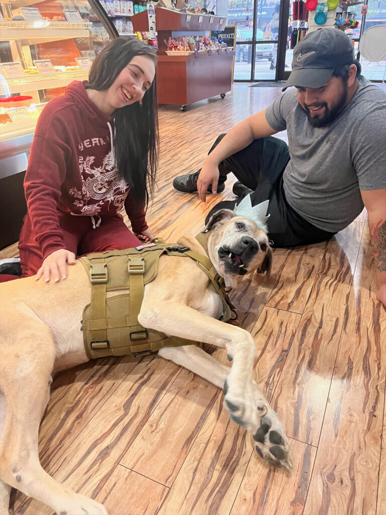 Columbus Georgia Three Dog Bakery - VIP (Very Important Pup) Sessions